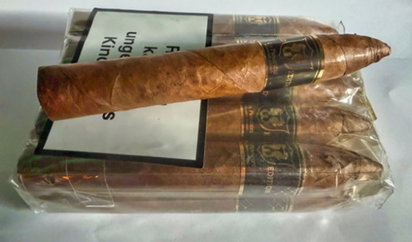 Torpedo Gold Bundle of 10